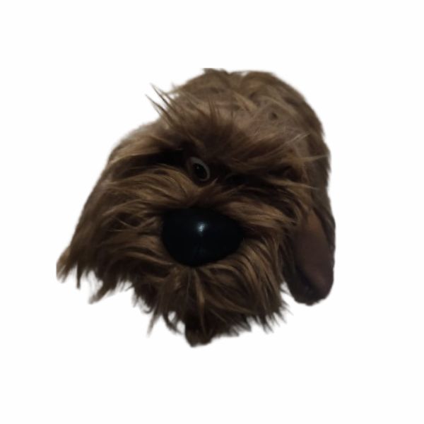 A vida secreta dos pets - Duke P